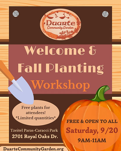 workshop flyer