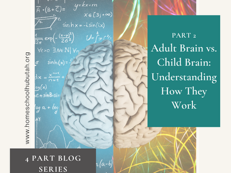 Part 2: Adult Brain Vs. Child Brain-- Understanding How They Work