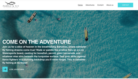 Paddle and Fly Home Page 