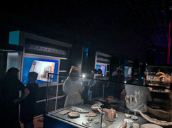 view of the exhibition