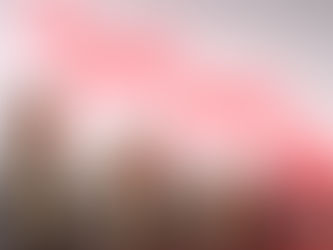 ¿Cuáles son los riesgos de invertir en bienes raíces?