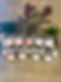 Nearly Full Line Up.jpg