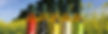 Supernature_Health_Letterbox.jpg