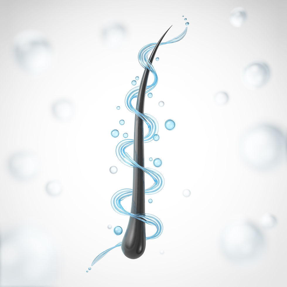 AdobeStock_562097190.jpeg
