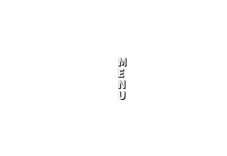 ⇦ MENU | STAFF ⇨