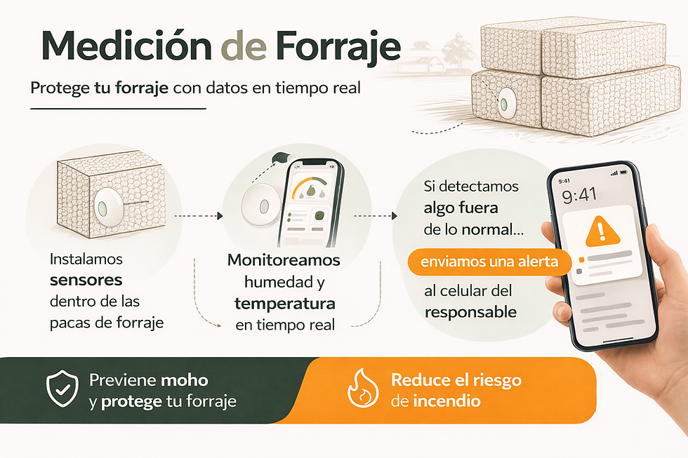 infografía_que hacemos.png