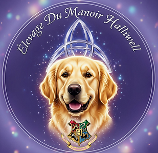 logo favorie ok.PNG