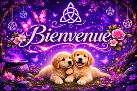 d5c5039f-8073-4ad1-bb36-521c83bdc0c2.png