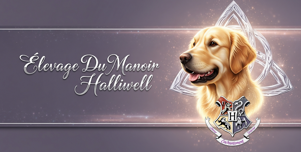 banniere officiel.PNG