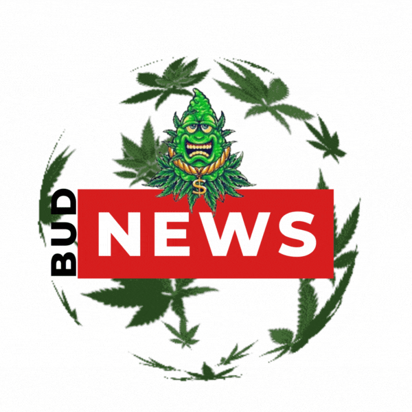 Dark Blue Red White Generic News General News Logo.gif