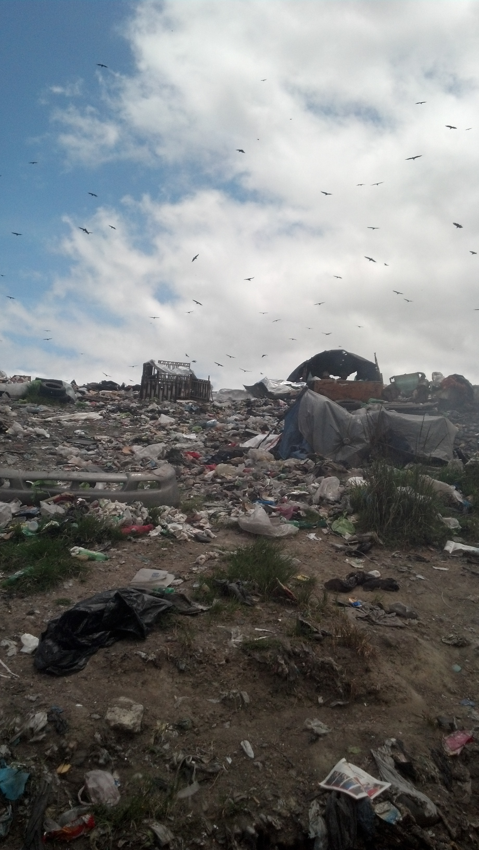 Landfill or Home