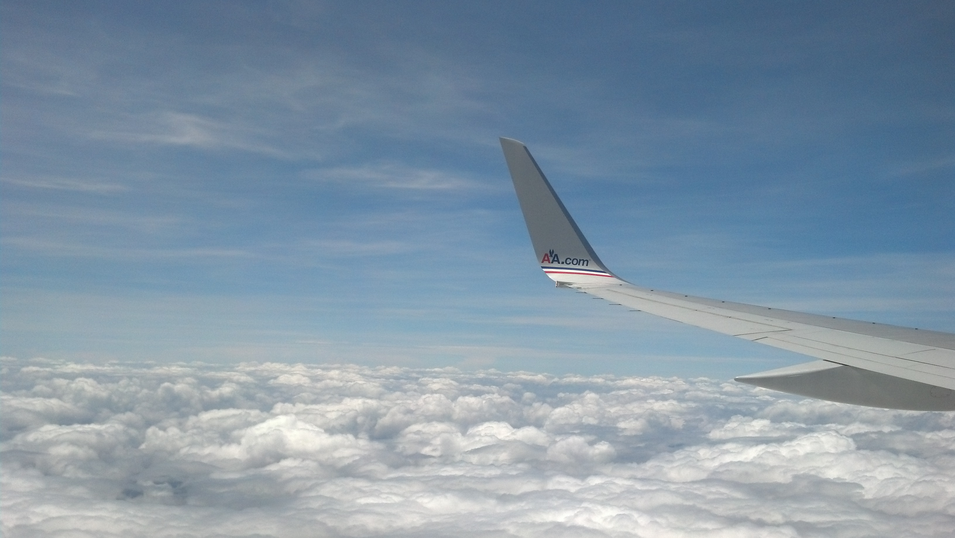 Fly