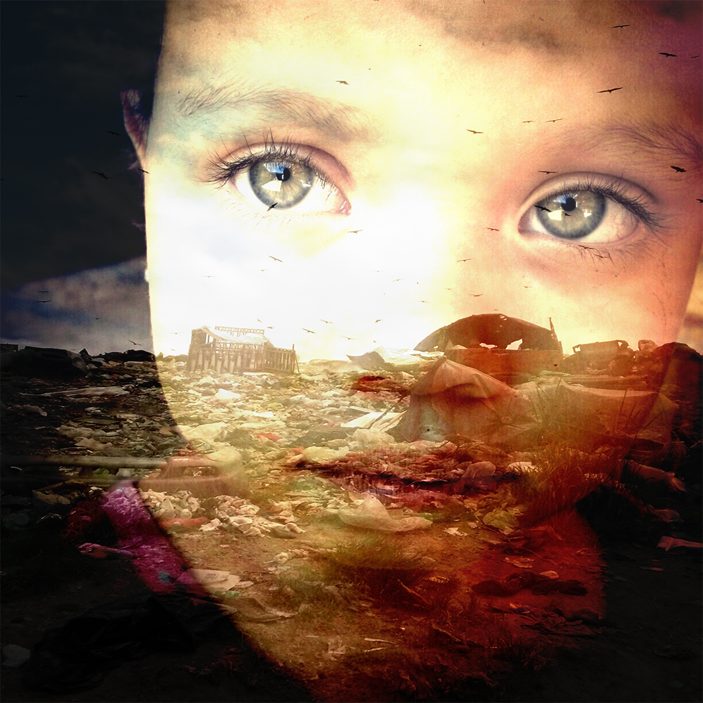 Eyes