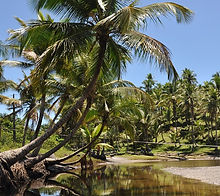 itacare , passeios em itacare ,passeios do jeribucaçu