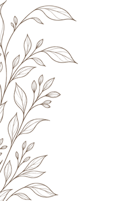 plantes fd transparent.png