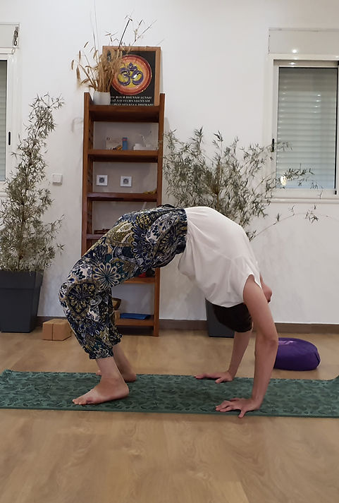 Urdhva Dhanurasana (Roue).jpg