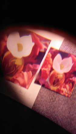 Gouche 3rd Quarter student