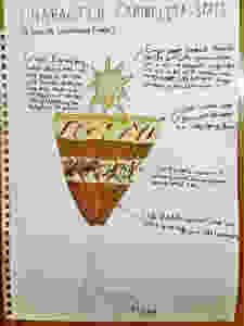 hand-drawn image of sundae with text