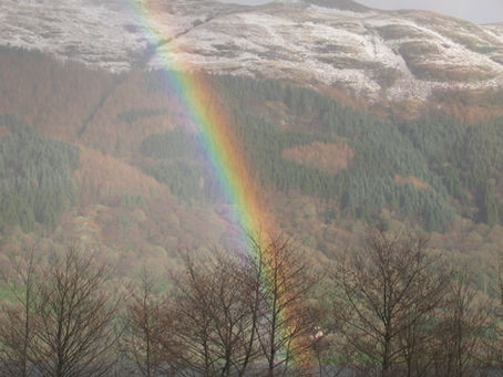 Rainbow Walk
