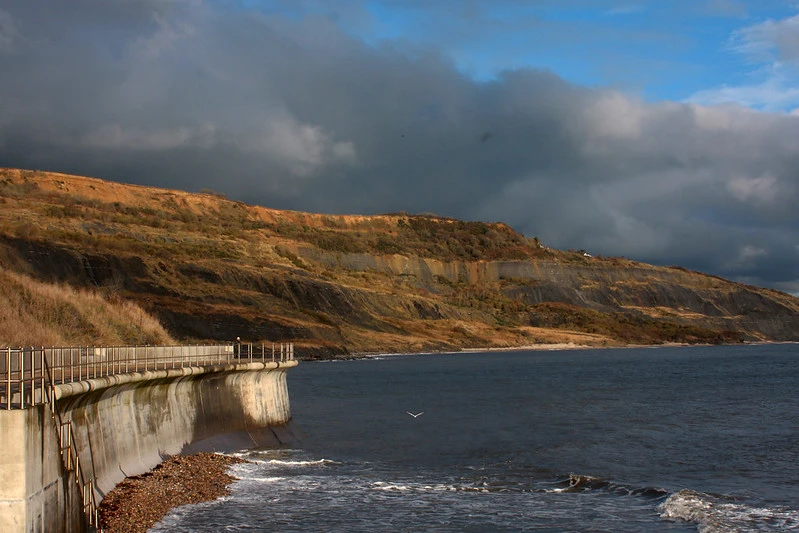 Finding Fossils in Lyme Regis Fossilwise