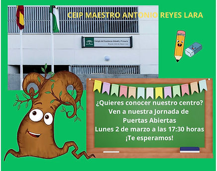 WhatsApp Image 2026-01-29 at 18.31.32.jpeg