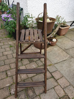 117198178_122253412901882_84374661216186