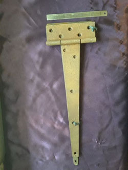 117036229_122256252901598_39777781307242