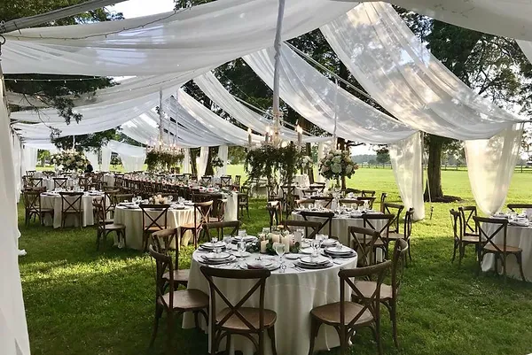 Elizabeth Anne Events