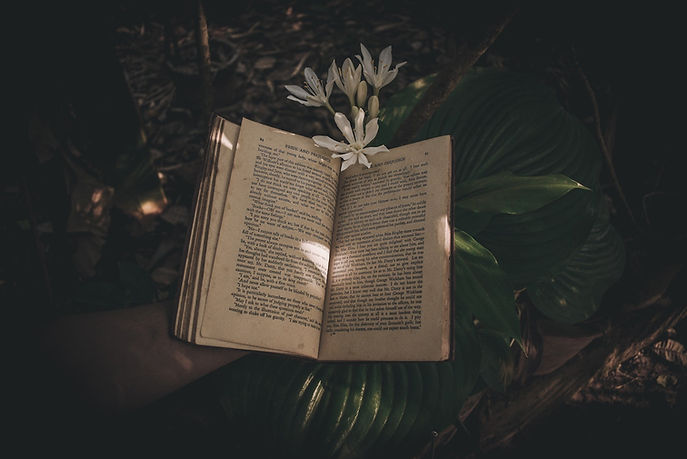 An open book above green leaves and white flowers.
