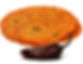 ★ 1 Kg Tortillas de chile chipotle
