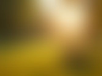 Create Beautiful Candid Family Portraits: Candid Family Photography Tips