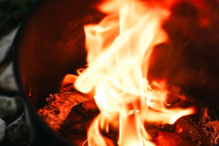 095A1424_1.jpg