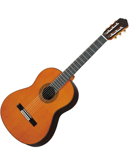 guitare transparent.gif