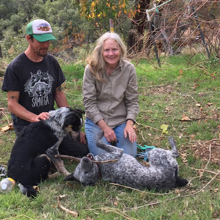 Diane Kriletich.jpeg