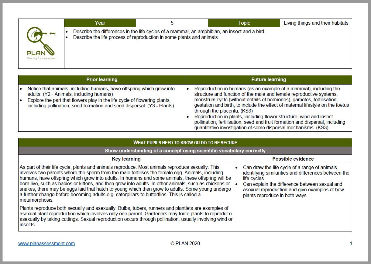 Knowledge Matrices Y5