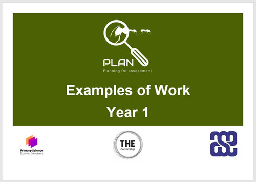 Knowledge: Examples of Work (Y1) | PLAN