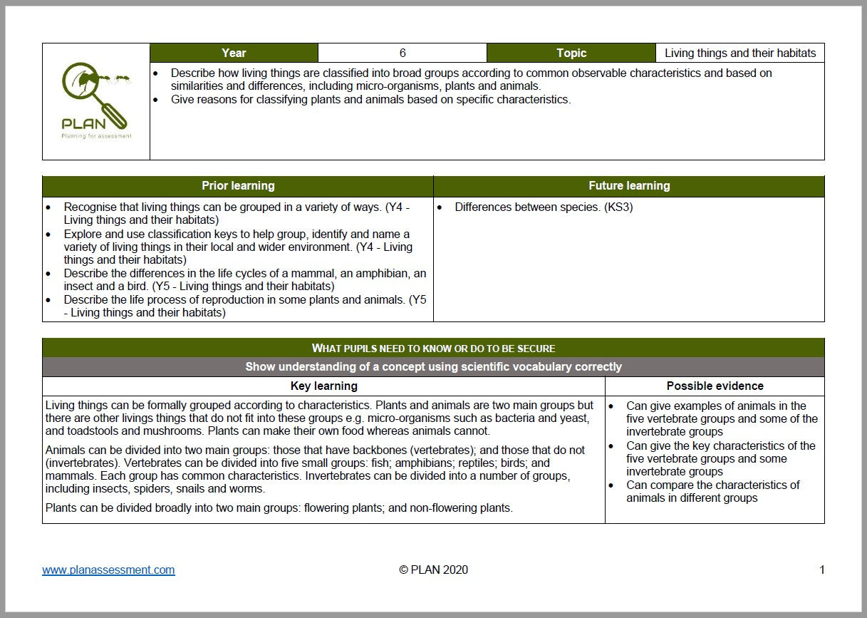 Knowledge Matrices Y6