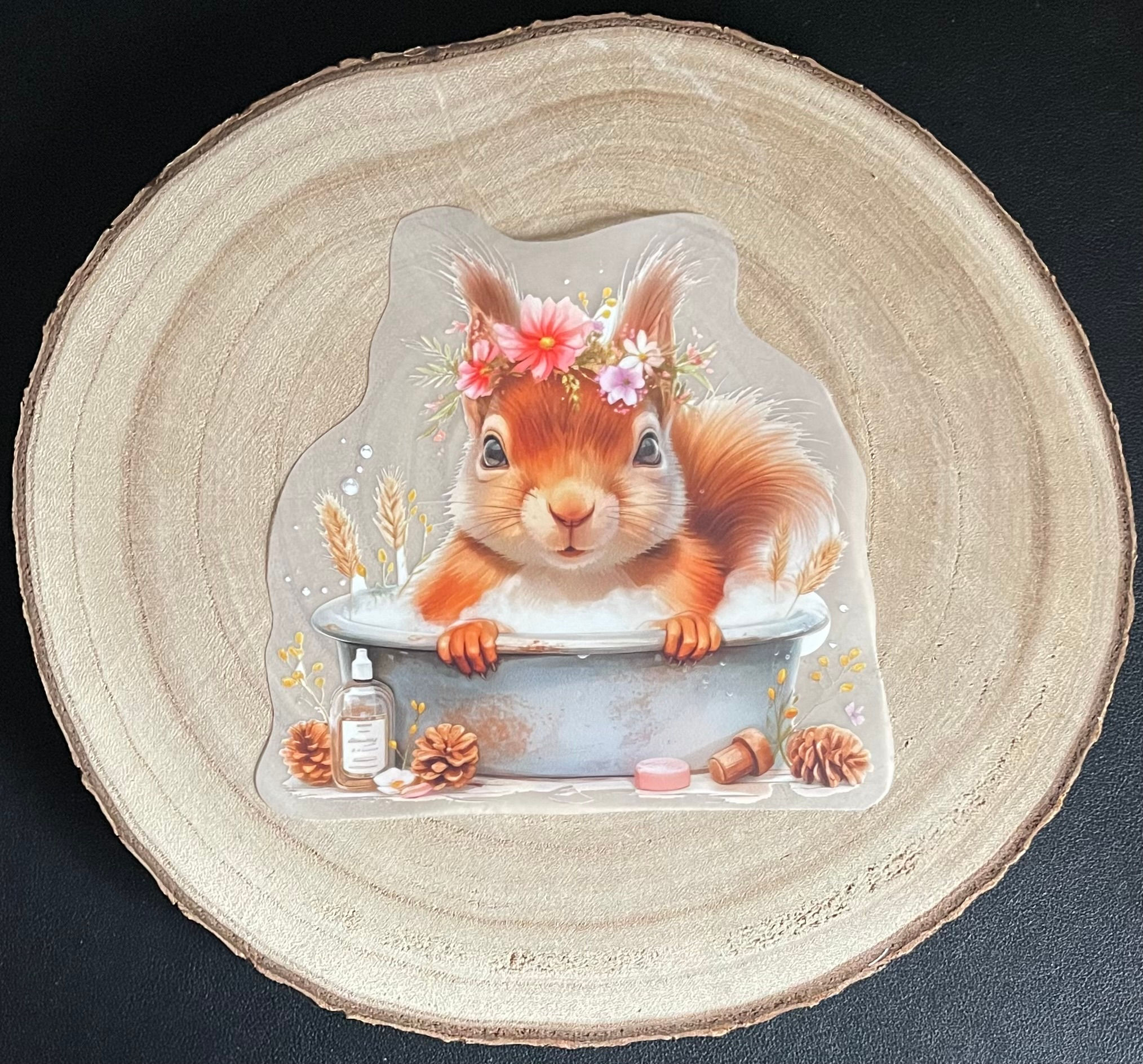 Bügelbild - Eichhörnchen in der Wanne