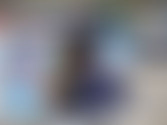 Koně plemene ČT úspěšní v 1. kole ČSP Martinice