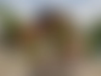 Český teplokrevník na MČR dětí a juniorů