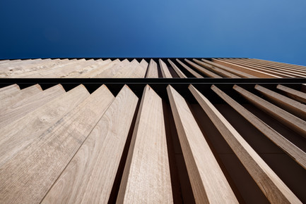 31-JDB_2019-02-16_0111_H-Edit.jpg