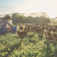 AEnB2Ure79Szxgrun0uohw4W9qCo5-EVDNP0K_6UjcYb00gLL6XlzGH1KuEOuP8sLg8bGhLLb5KMUxKJ2y0Ak-pMsI