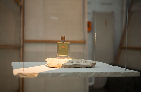 HERMES_LAX0009 copy 2.jpg