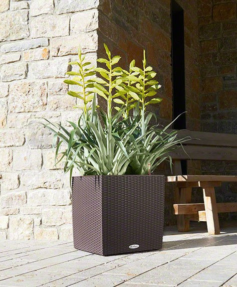 Miniatura: Maceta Cube Cottage 50