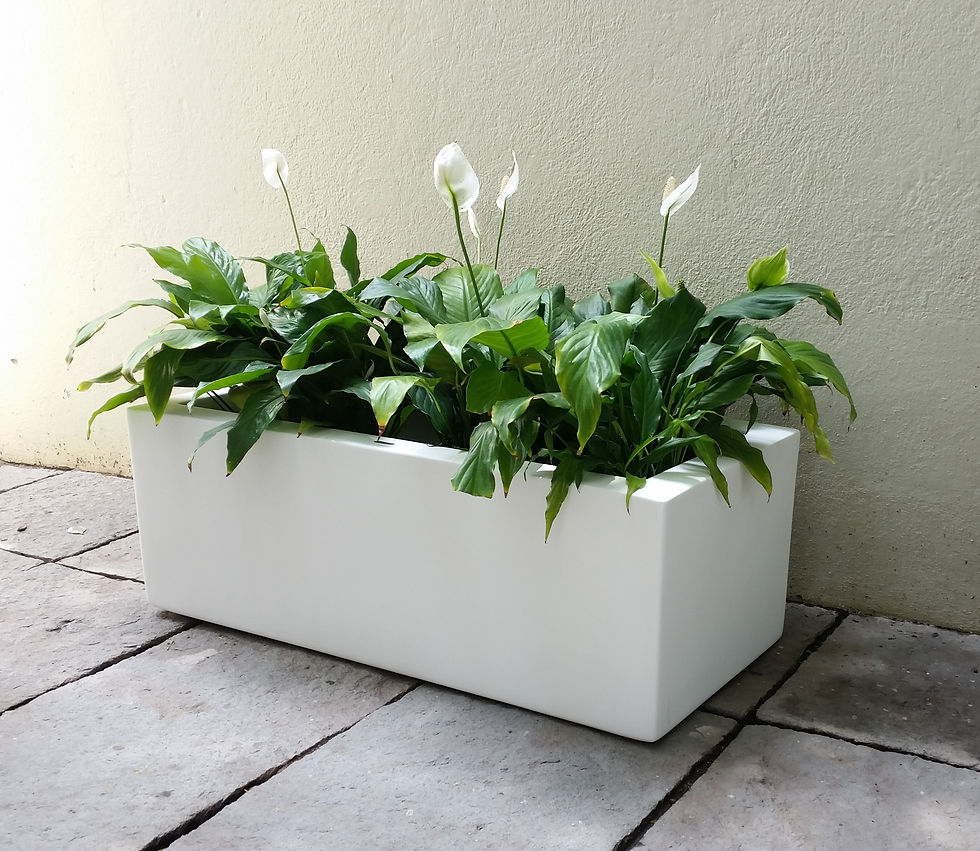 Miniatura: Jardinera Y 90