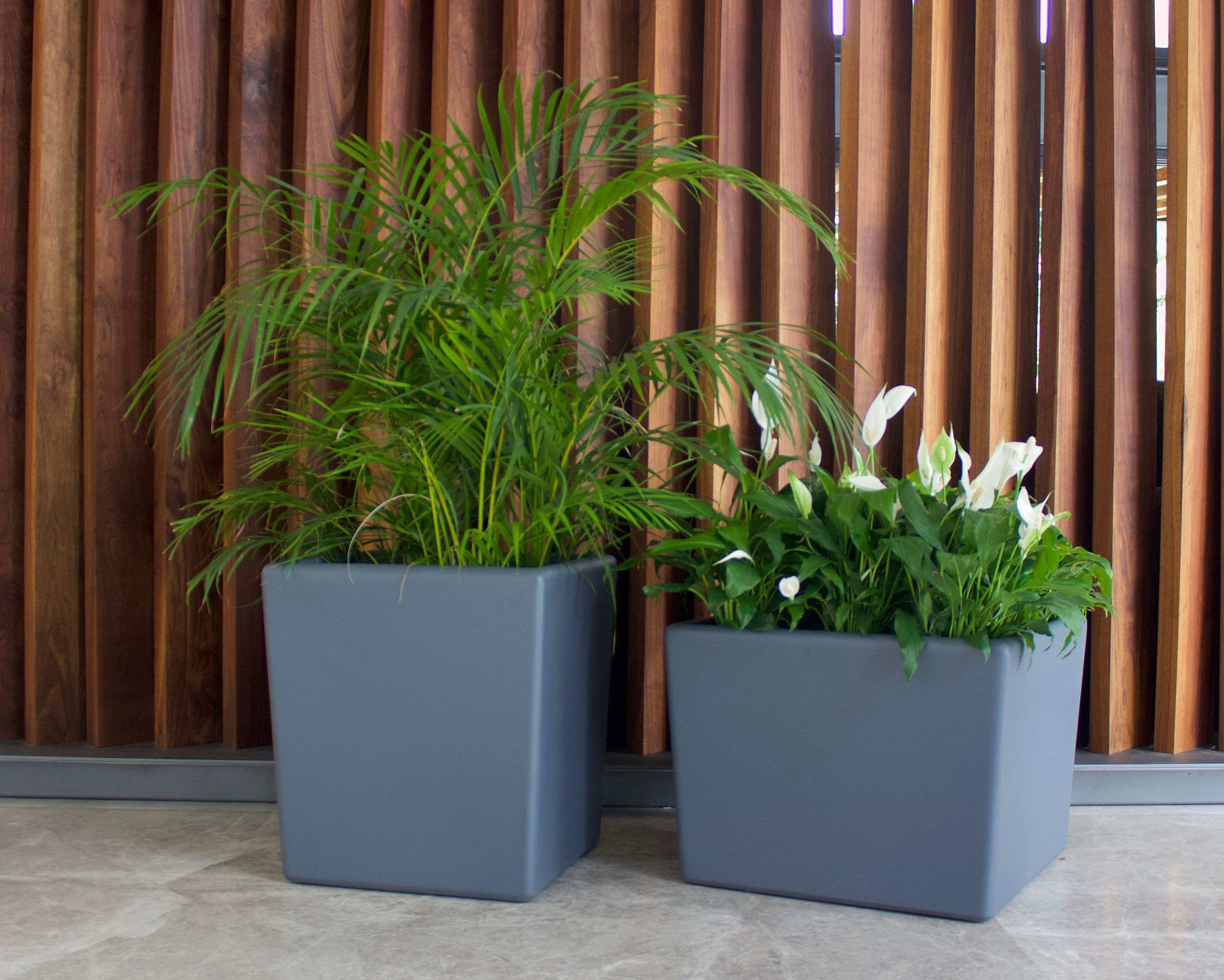 Maceta Livelo Cuadrada 75