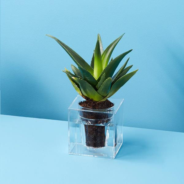 Miniatura: Boskke Cube Chica