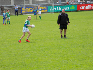 Craobhacha i bPáirc Parnell
