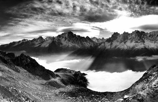 Thought of the Day...