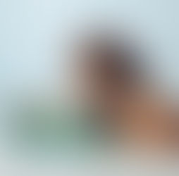 Liderança e Adaptabilidade, criança usando maquina de escrever